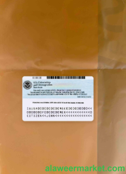 USA employment authorization card version 2 photolook BACK